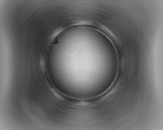 X0000115611321200911171140