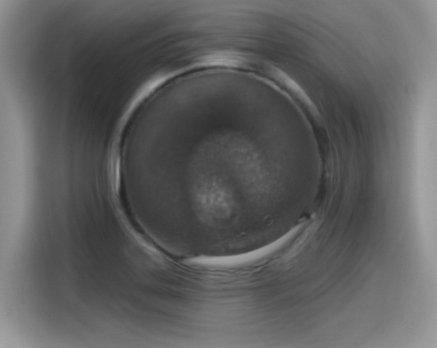 X0000115611323200911171140