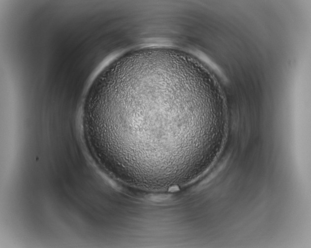 X0000115611325200911171140