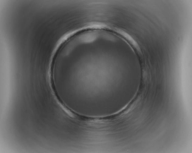 X0000115611327200911171140