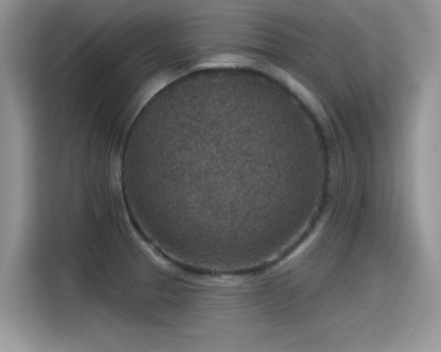 X0000115611329200911171140