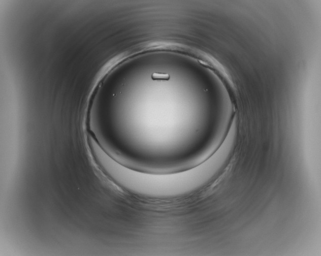 X0000115611330200911171140