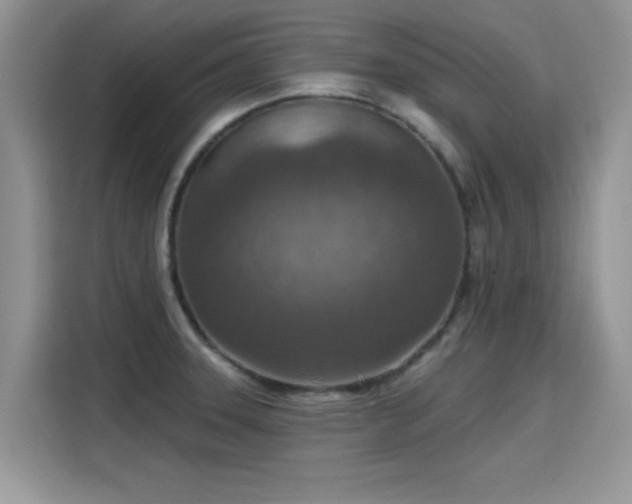 X0000115611331200911171140