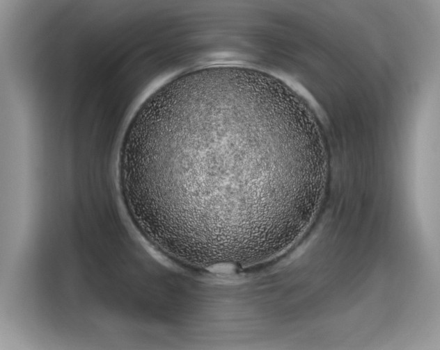 X0000115611333200911171140