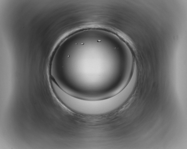X0000115611334200911171140