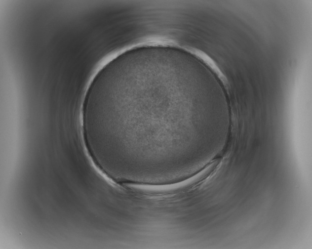 X0000115611335200911171140