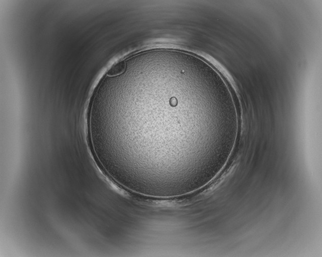 X0000115611341200911171140