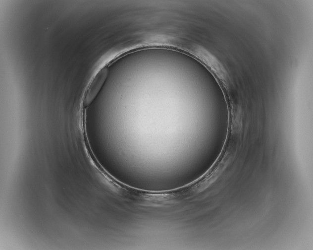 X0000115611342200911171141