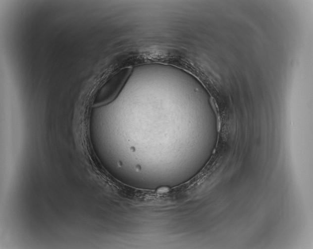 X0000115611345200911171140
