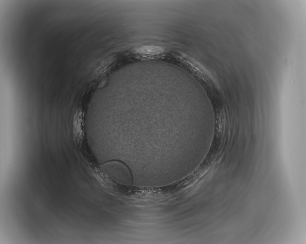 X0000115611346200911171140