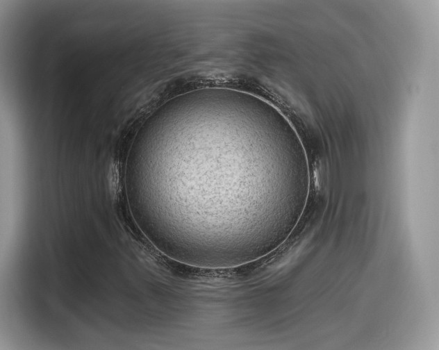 X0000115611347200911171140