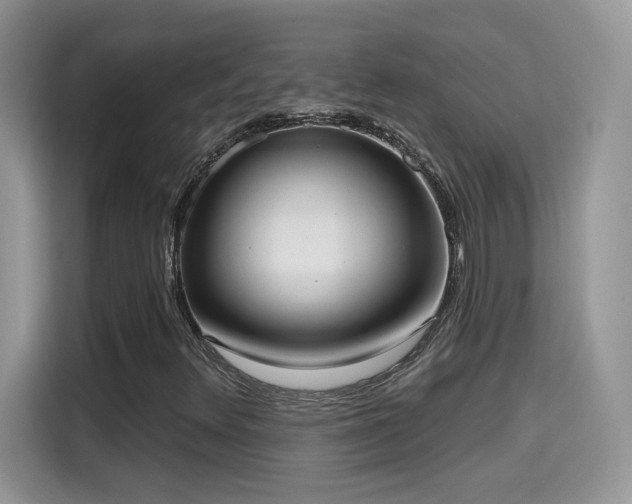 X0000115611348200911171140