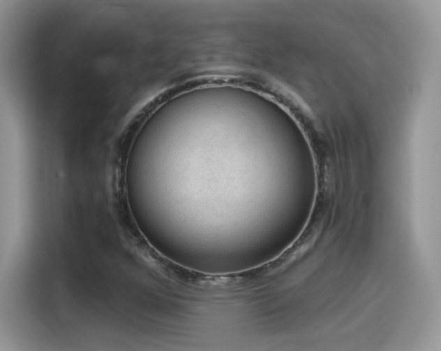 X0000115611352200911171140
