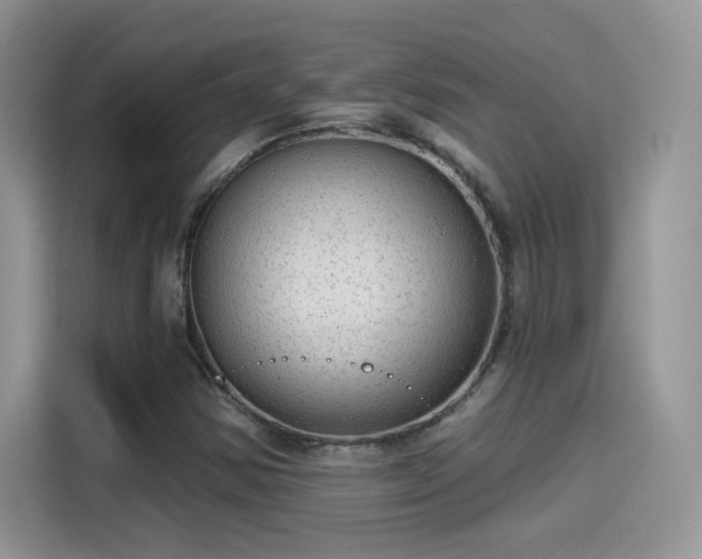 X0000115611354200911171140