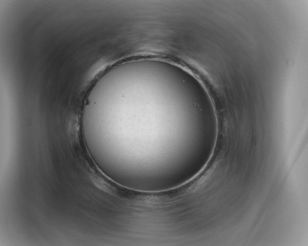 X0000115611355200911171140