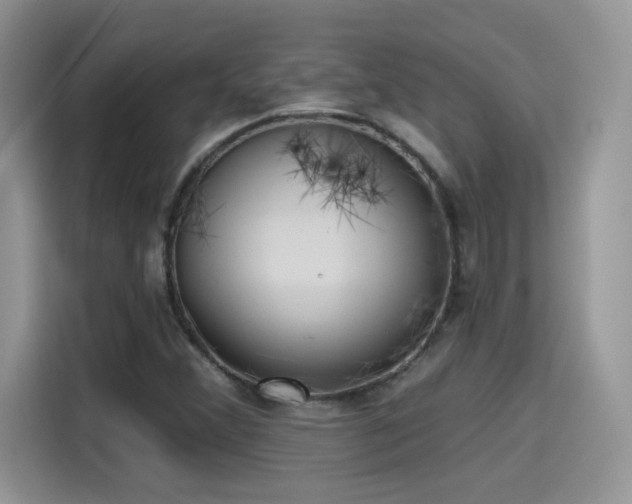 X0000115611356200911171140