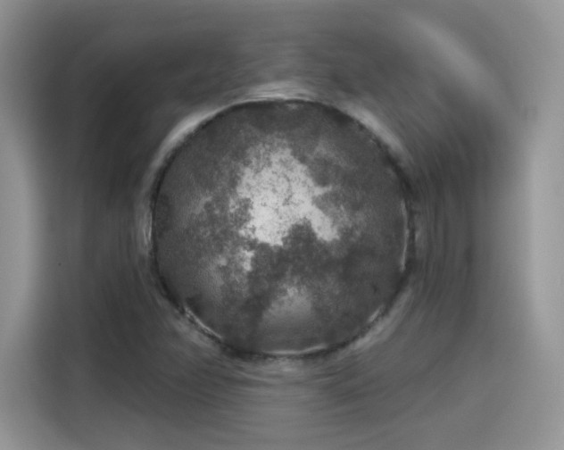 X0000115611358200911171140