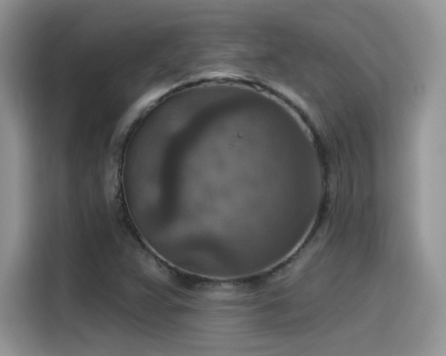 X0000115611359200911171140