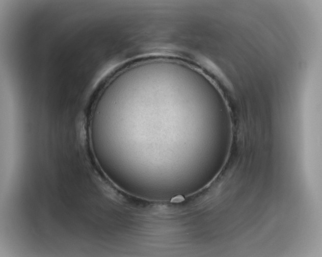 X0000115611360200911171140