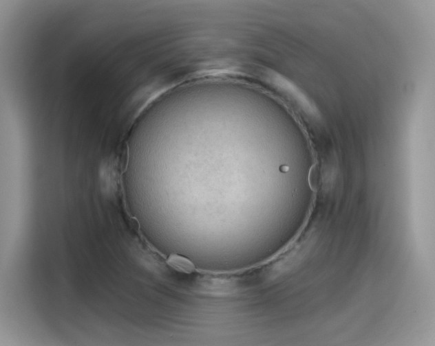 X0000115611361200911171140