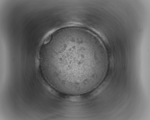 X0000115611363200911171140