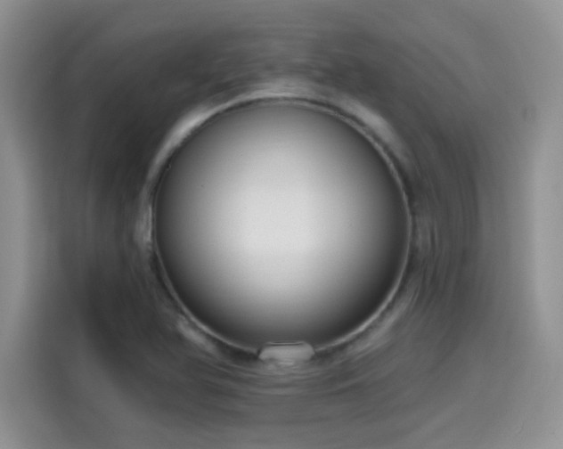 X0000115611366200911171140