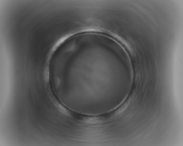 X0000115611367200911171140