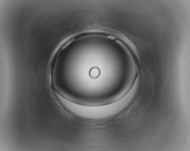 X0000115611368200911171140