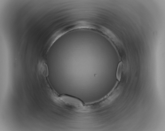 X0000115611369200911171140