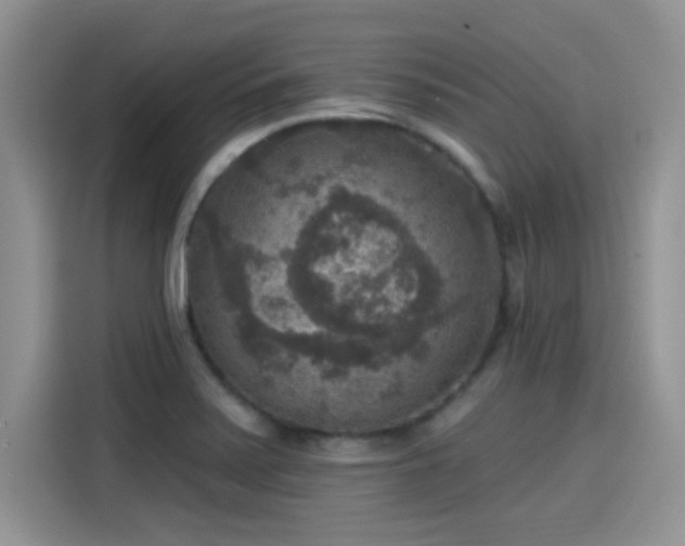 X0000115611371200911171140