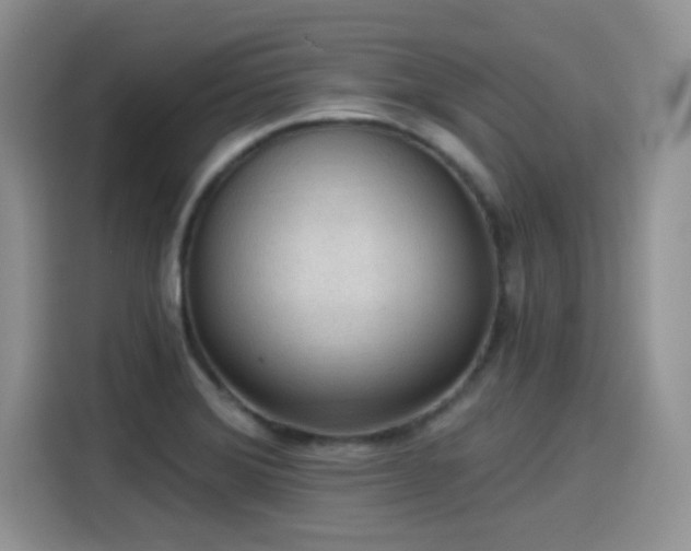 X0000115611372200911171140