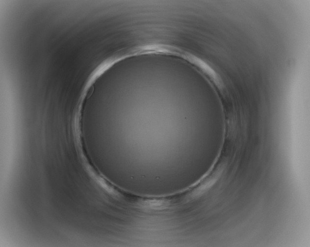 X0000115611373200911171140