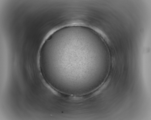 X0000115611374200911171140