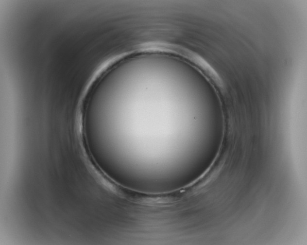 X0000115611376200911171140