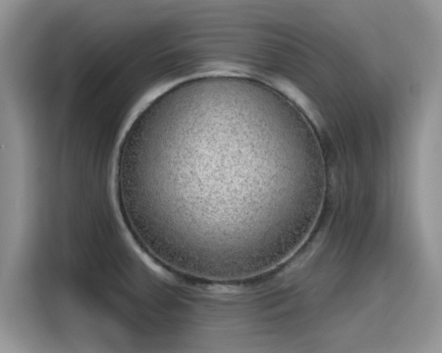 X0000115611379200911171139