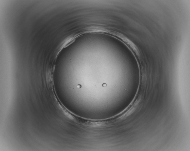 X0000115611385200911171139