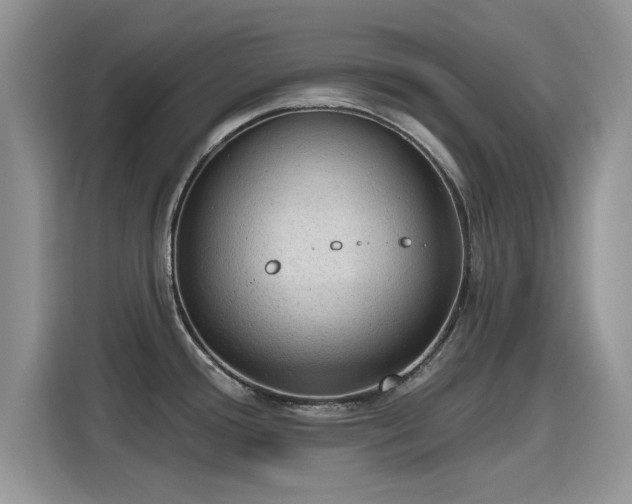 X0000115611388200911171139