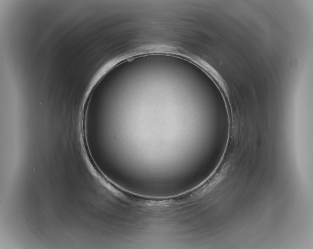 X0000115611389200911171139
