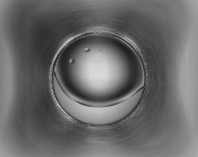 X0000115611392200911171139