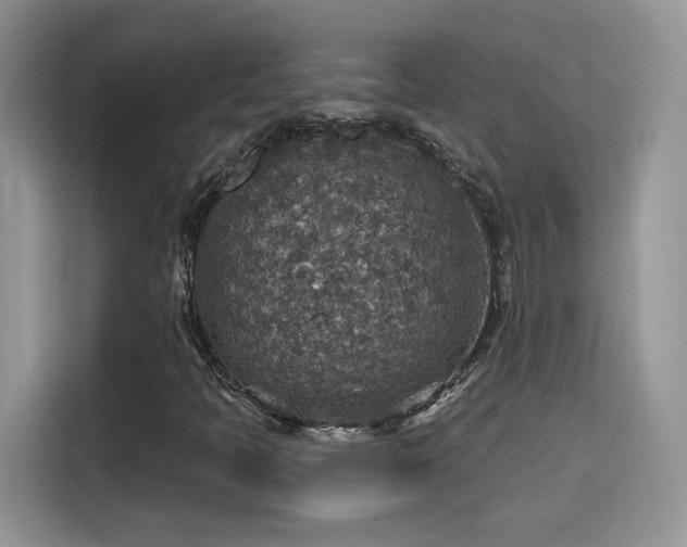 X0000115611397200911171139