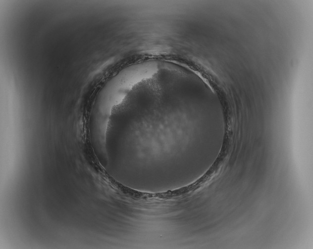 X0000115611398200911171139