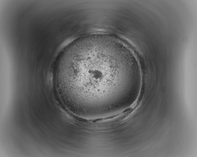 X0000115611402200911171139