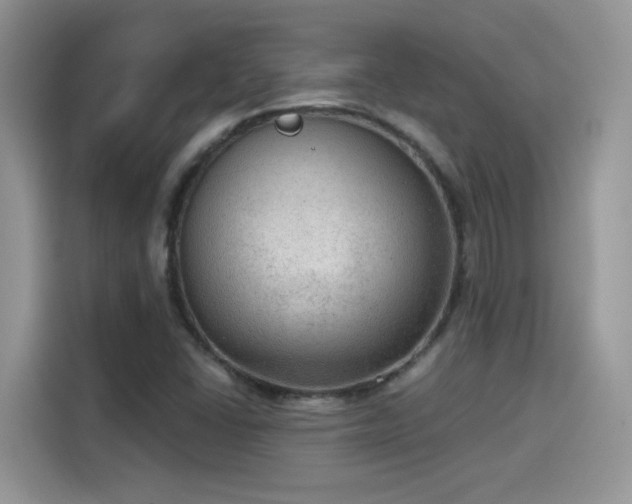 X0000115611406200911171139