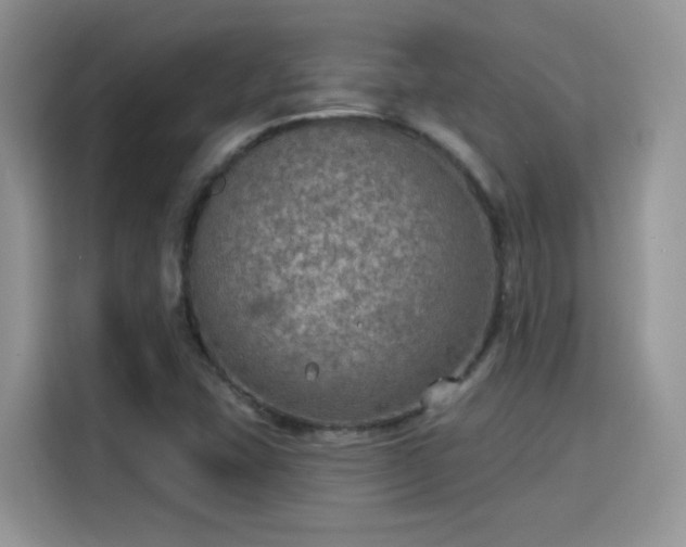 X0000115611407200911171139