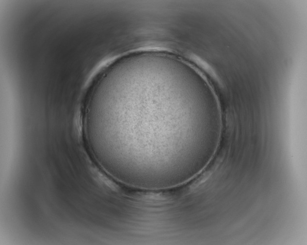 X0000115611408200911171139