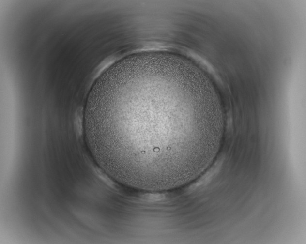X0000115611409200911171139
