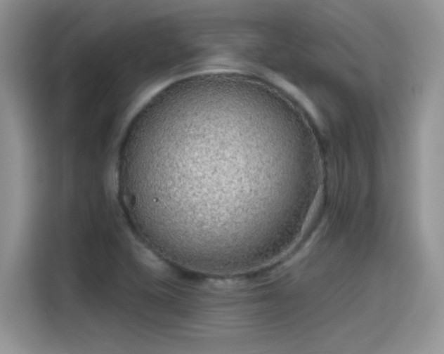 X0000115611415200911171139