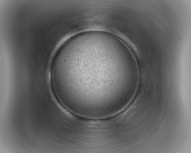 X0000115611416200911171139
