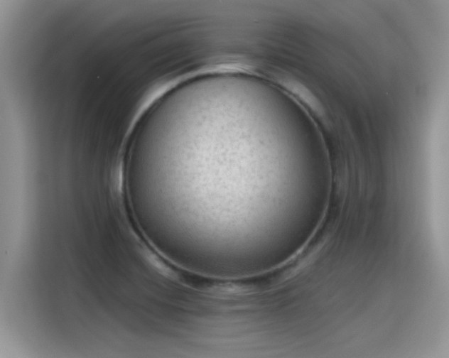 X0000115611420200911171139