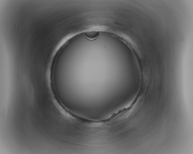 X0000115611422200911171139